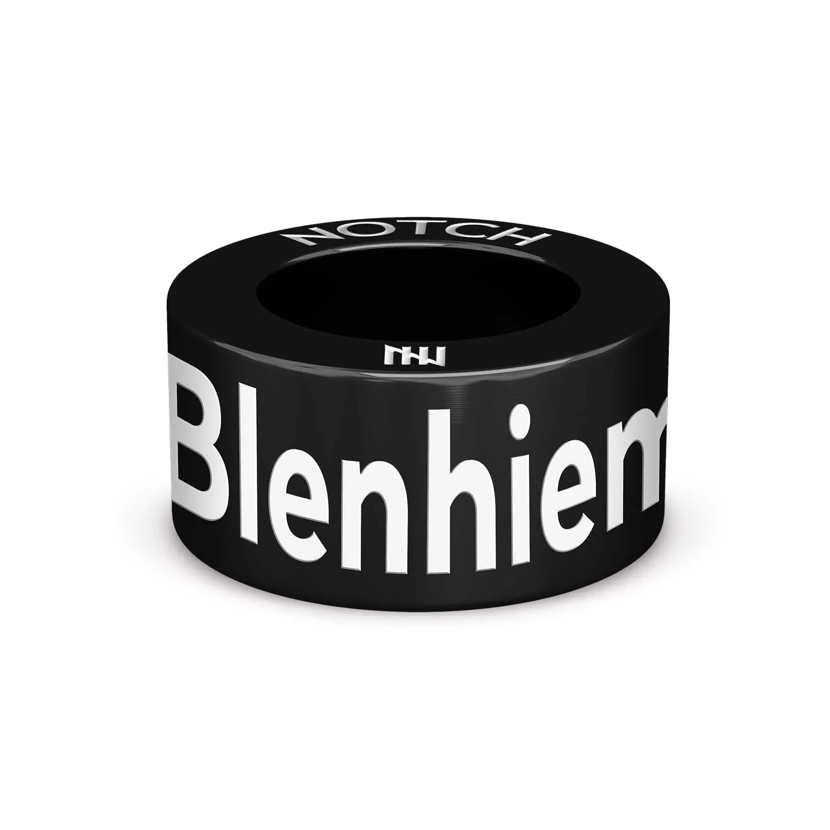 BLENHEIM PALACE TRIATHLON NOTCH Charm