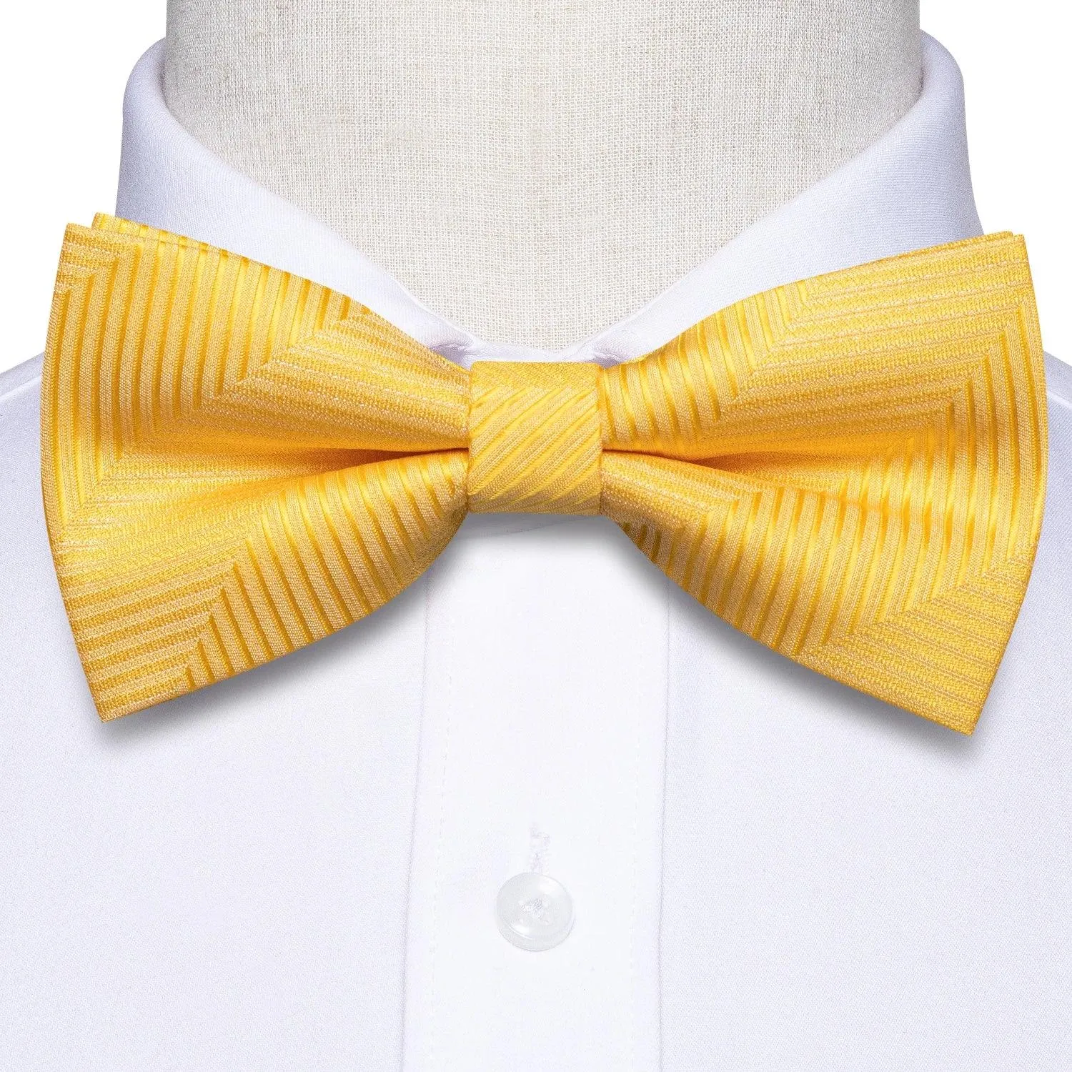 Classic Bow Ties For Men Silk Butterfly Pre-Tied Bowtie