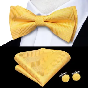 Classic Bow Ties For Men Silk Butterfly Pre-Tied Bowtie