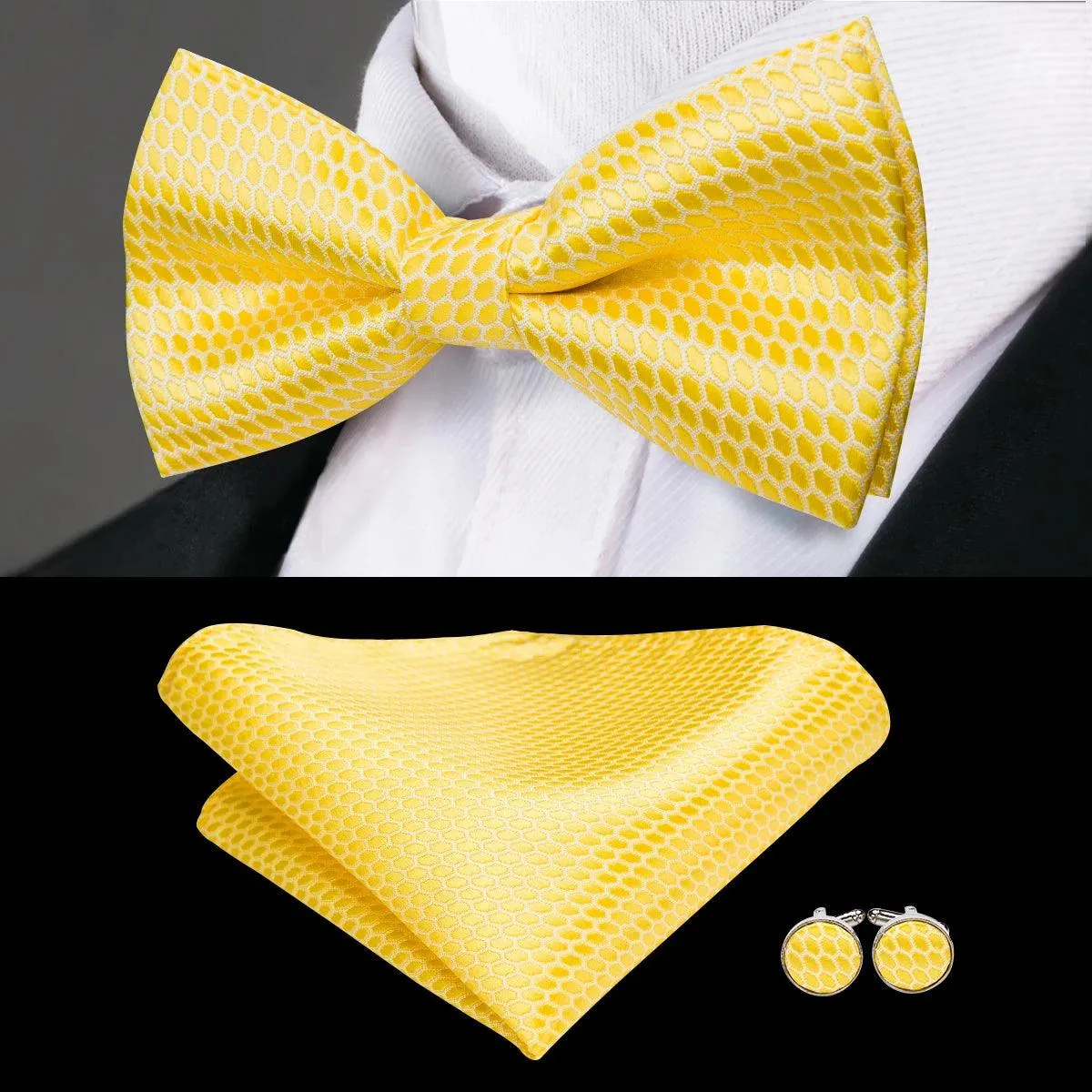 Classic Bow Ties For Men Silk Butterfly Pre-Tied Bowtie