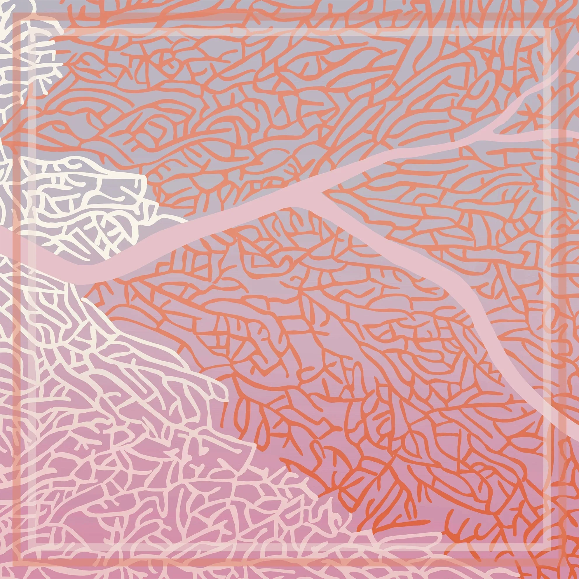 Coral (Pink) Scarf