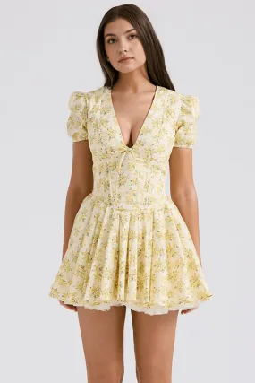 Emilly Bustier Dress