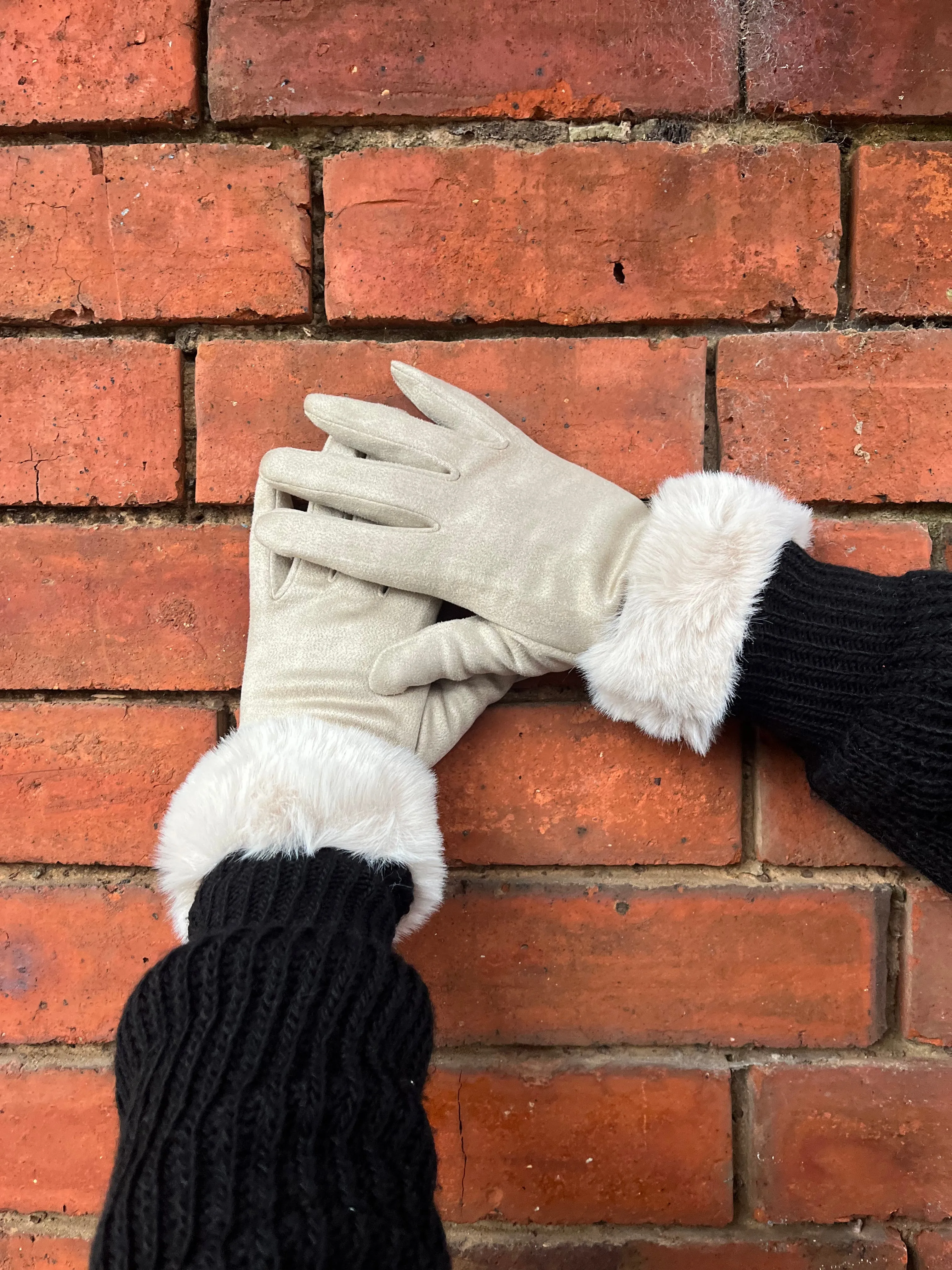 Fur Trim Gloves