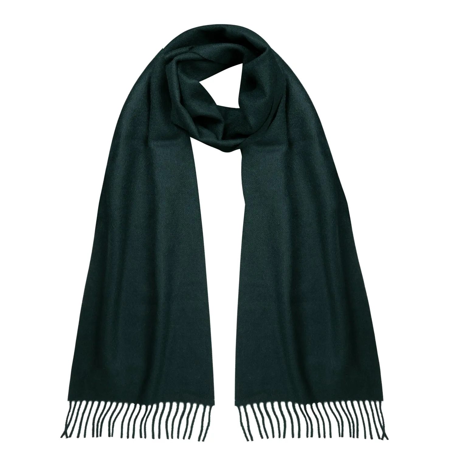 Lomond - Pure Cashmere Scarf - Plain