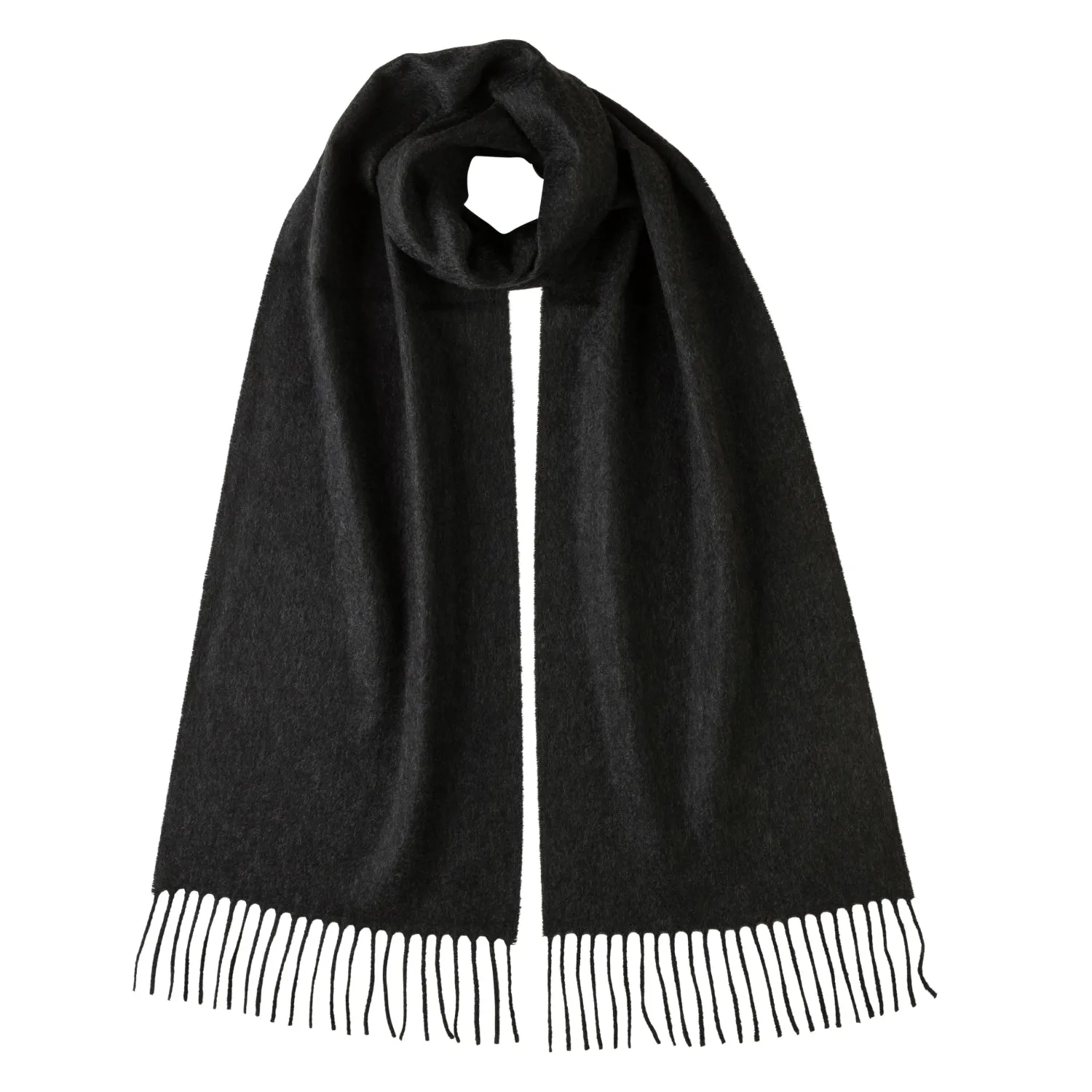 Lomond - Pure Cashmere Scarf - Plain