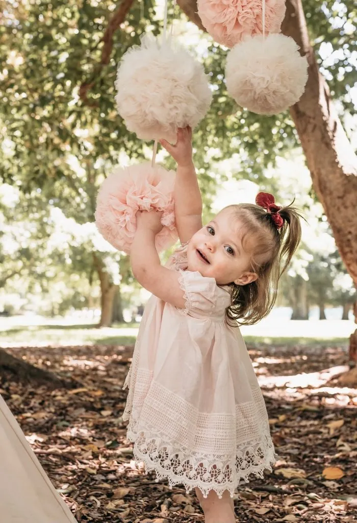 Sugar Plum Baby Lace Dress - Blush