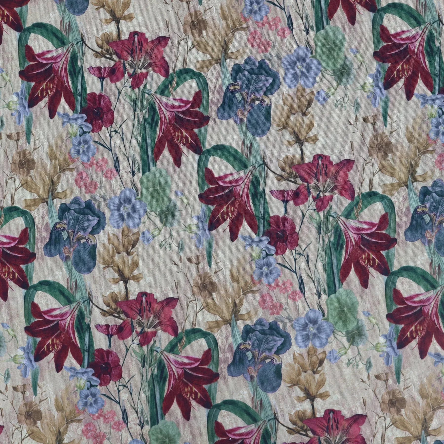 Vintage Floral Power Mesh (3E)